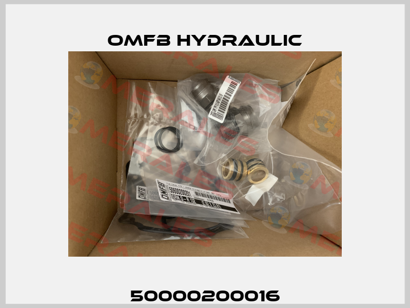 50000200016 OMFB Hydraulic