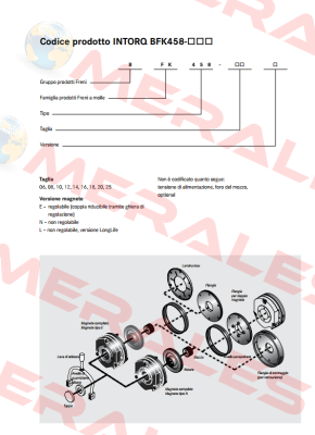 Ring for BFK458-20E Intorq