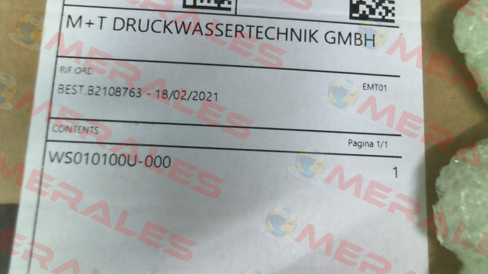 WS101 ATEX Interpump