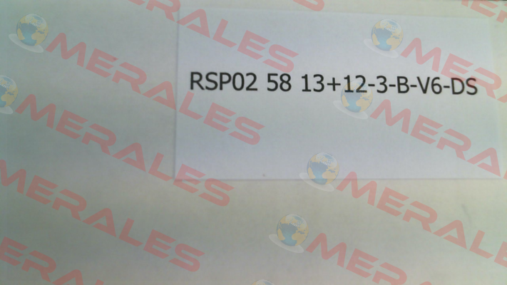RSP02- 58 13+12-3-B-V6-DS (02.12.25231150) Resatron