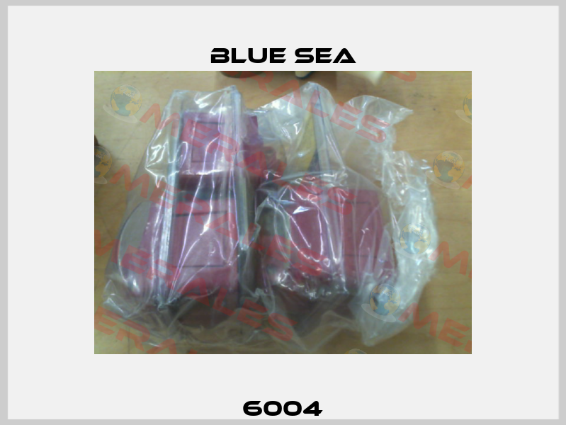 6004 Blue Sea