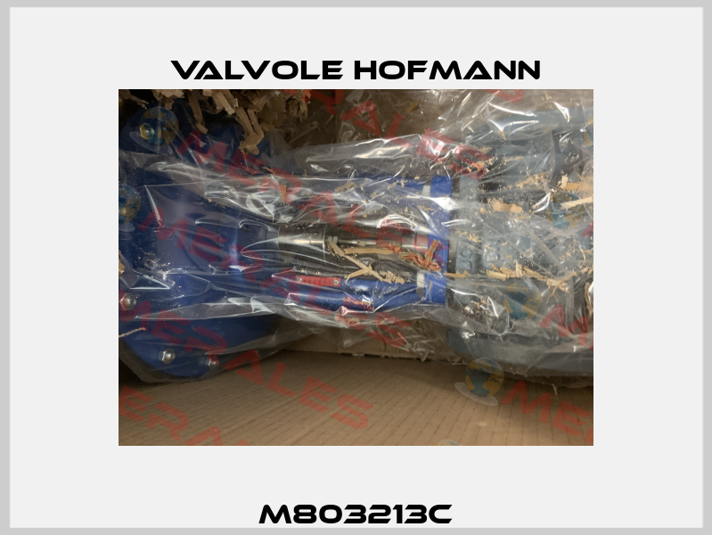 M803213C Valvole Hofmann
