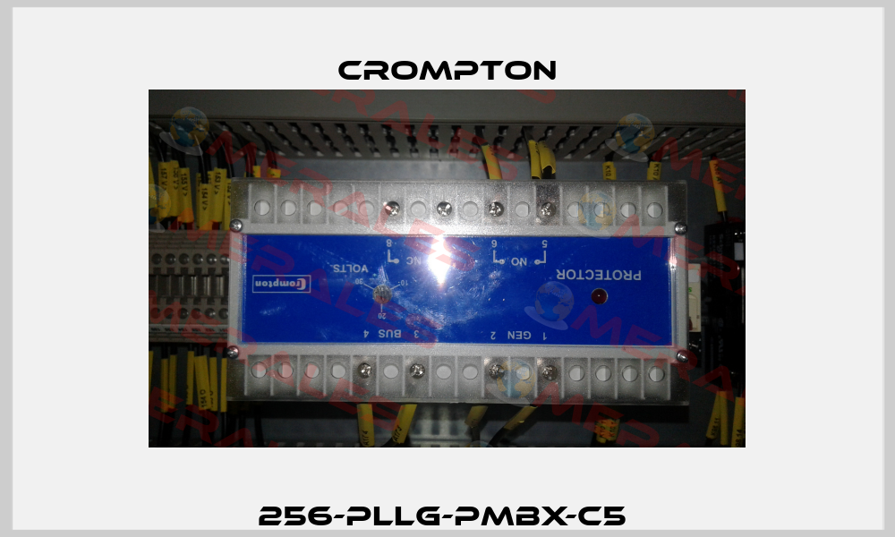 256-PLLG-PMBX-C5  Crompton