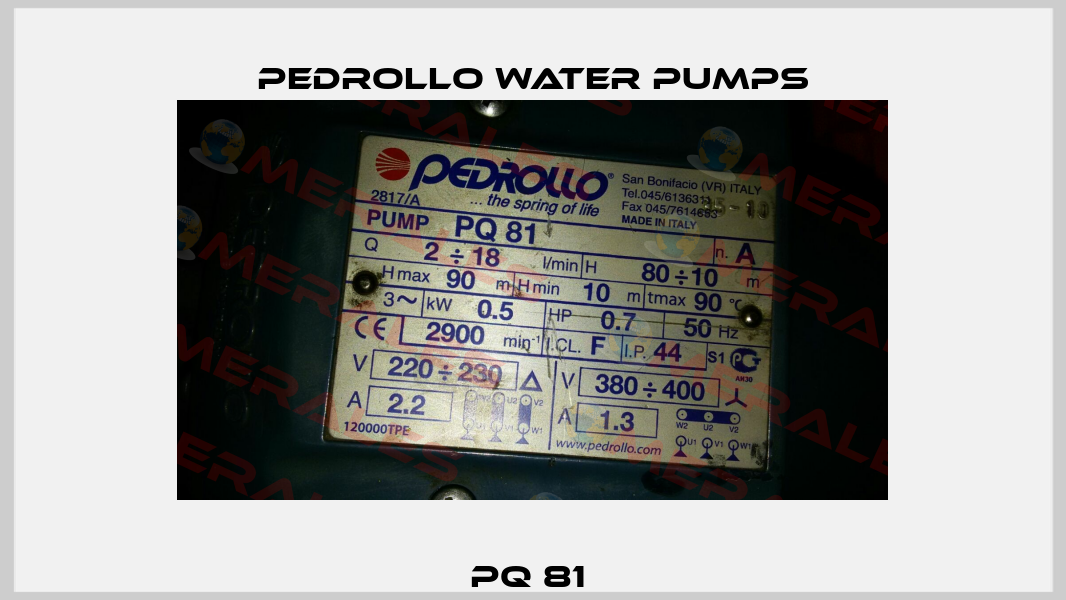 PQ 81  Pedrollo Water Pumps