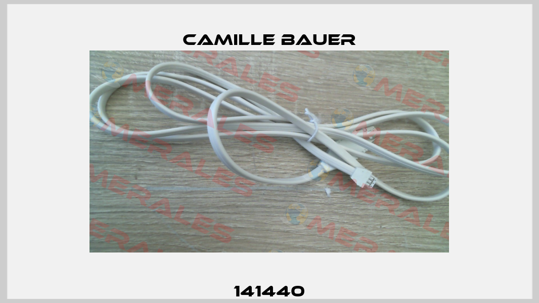 141440 Camille Bauer