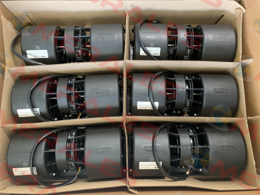 020-BBL331P/N-95 24V -W/PACK (Qty 6) SPAL