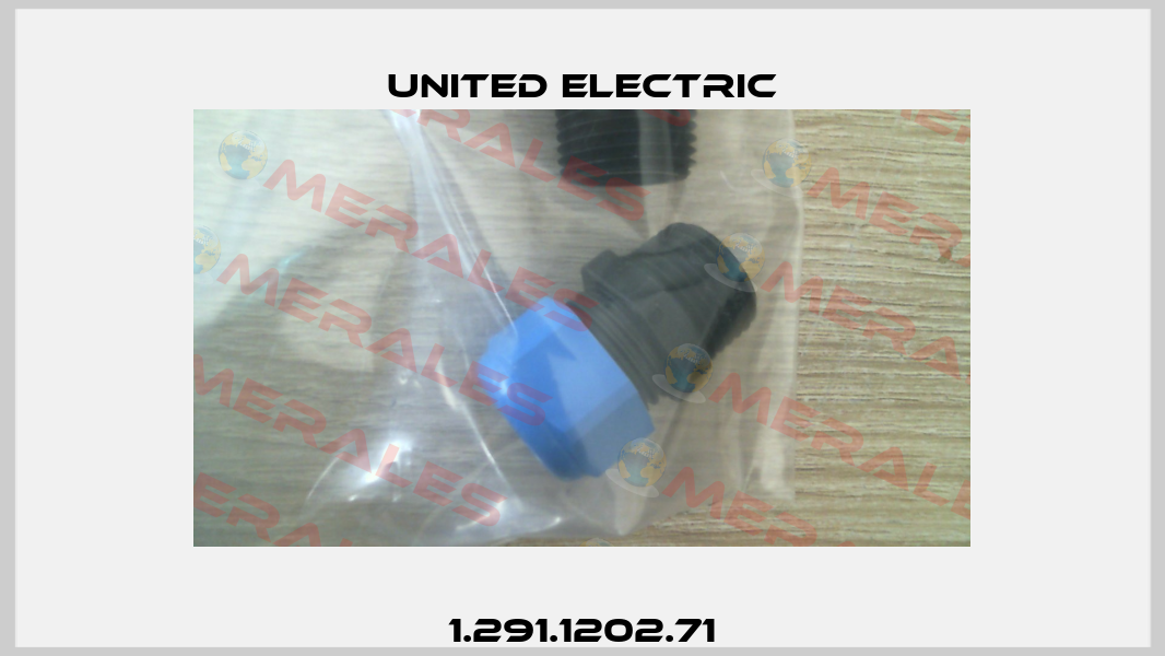 1.291.1202.71 United Electric