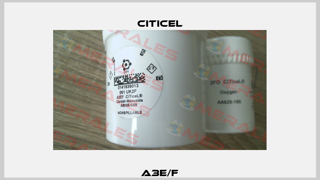 A3E/F Citicel