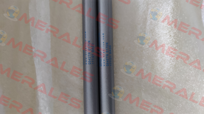 0542TR / 0175N 206/05 G 13 Stabilus