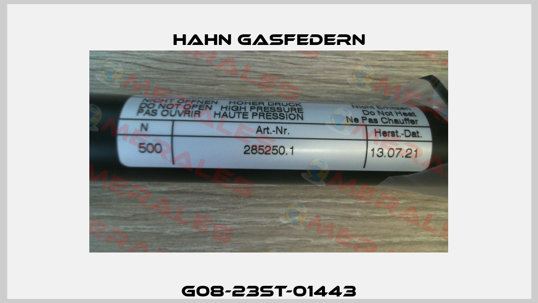 G08-23ST-01443 Hahn Gasfedern