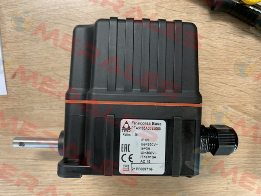PFA9165A0025005 Ter Tecno Elettrica Ravasi