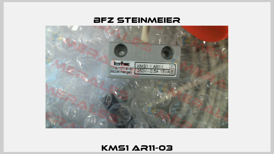 KMS1 AR11-03 BFZ STEINMEIER