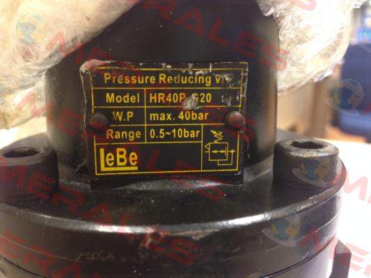 HR40P-G20 Lebe Filtration