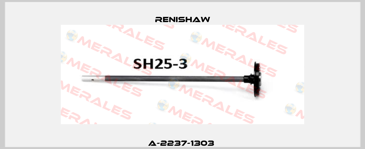 A-2237-1303  Renishaw