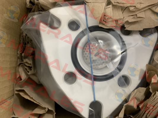 AVFP47SA00 Cedaspe