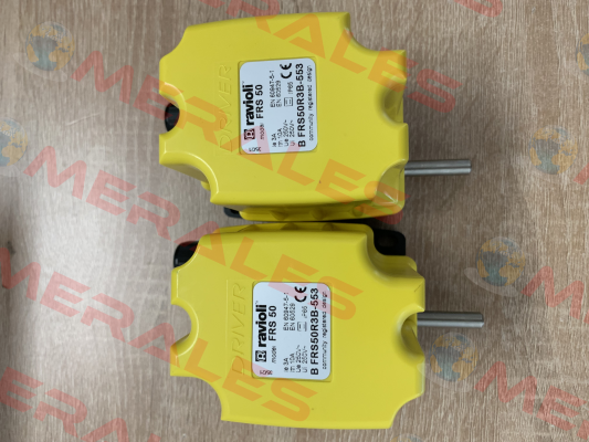 BFRS50R3B-553 Ravioli