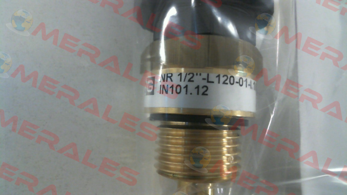 IN101.12   NR 1/2" - L120-01 Goldammer