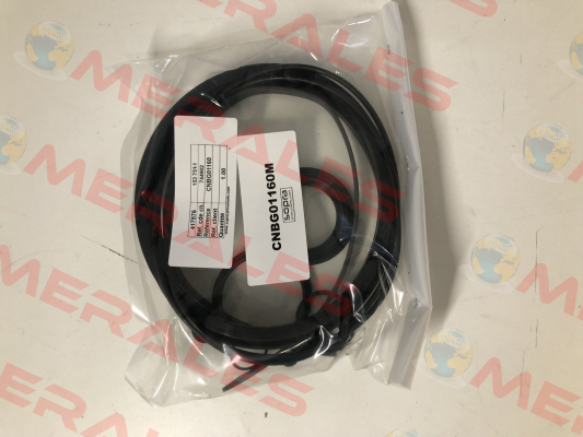 CNBG01160 Sopra-Pneumatic