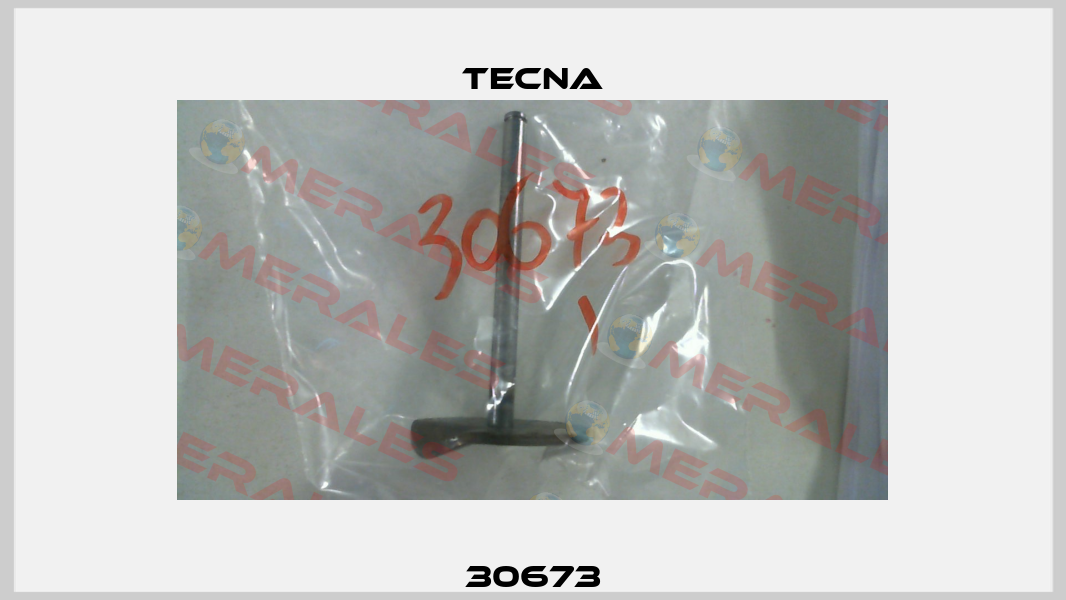 30673 Tecna