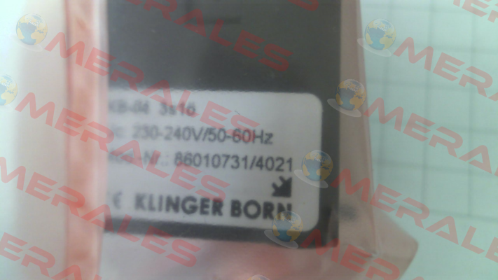 8601.0731 Klinger Born