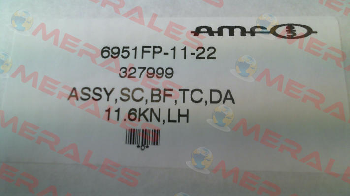327973 \ 6951FP-11-21 Amf