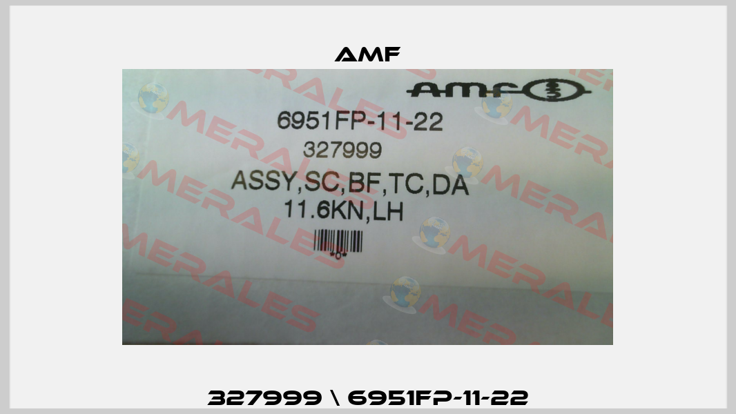 327999 \ 6951FP-11-22 Amf