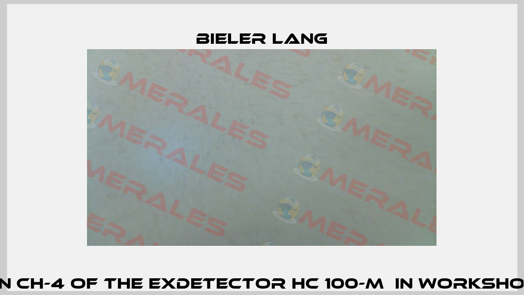 Calibration CH-4 of the ExDetector HC 100-M  in workshop on metan Bieler Lang