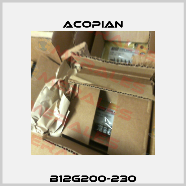 B12G200-230 Acopian