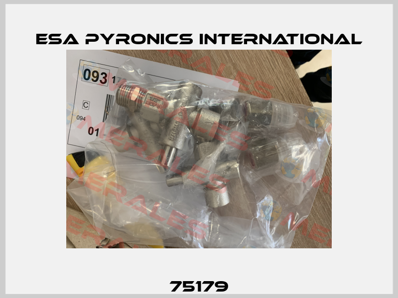 75179 ESA Pyronics International