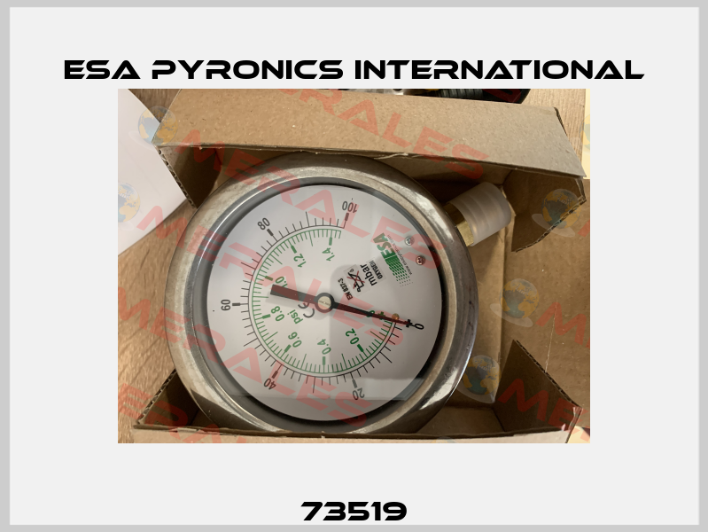 73519 ESA Pyronics International