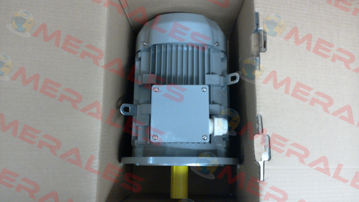 FCPA 132S-6 /PHE AC Motoren