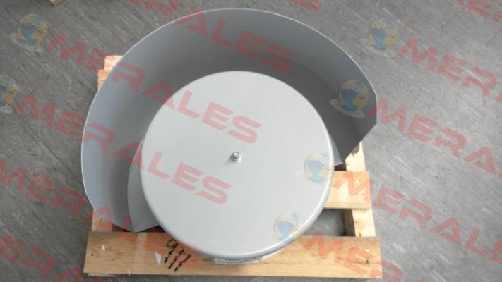 RFF113-032020-00 Reitz