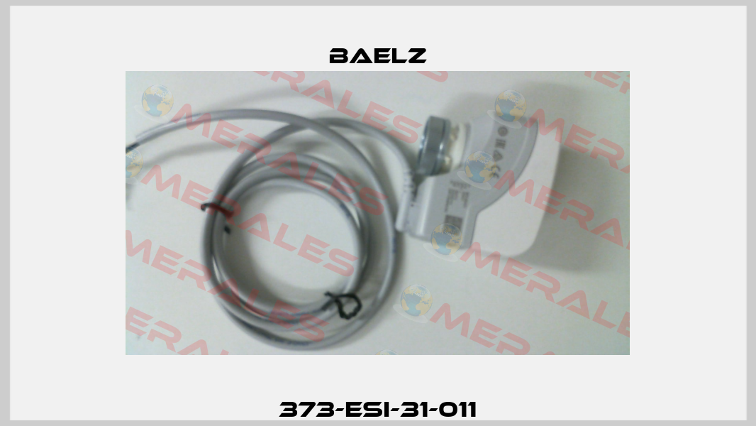 373-ESI-31-011 Baelz