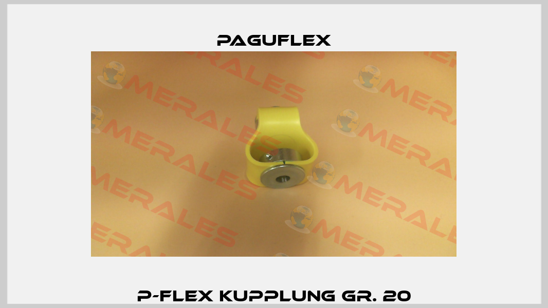 P-Flex Kupplung Gr. 20 Paguflex