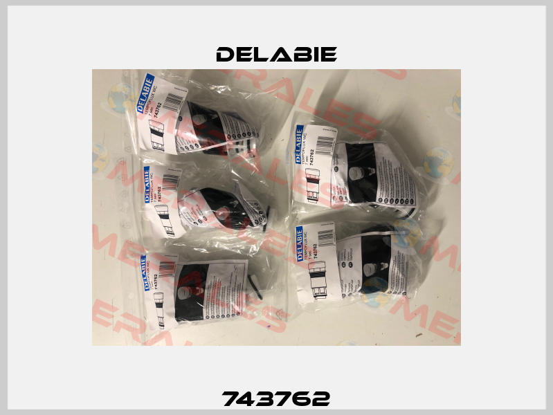 743762 Delabie