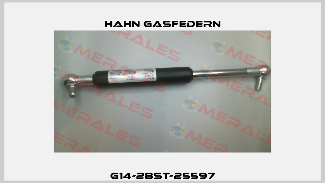 G14-28ST-25597 Hahn Gasfedern