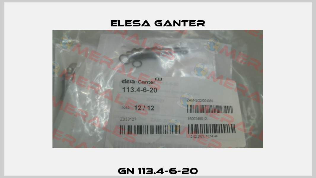 GN 113.4-6-20 Elesa Ganter