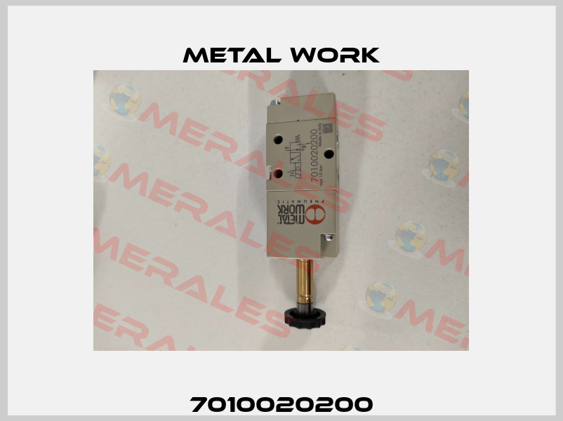 7010020200 Metal Work