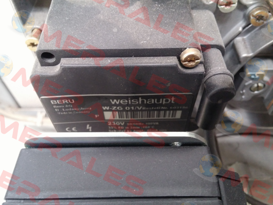 W-ZG01 Weishaupt