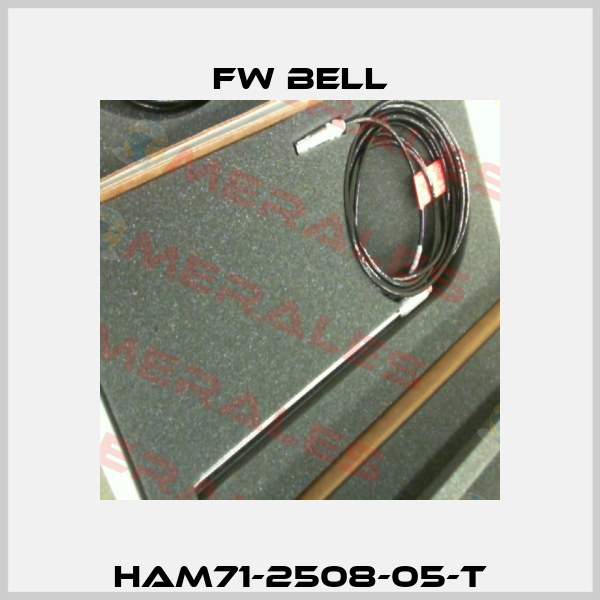 HAM71-2508-05-T FW Bell