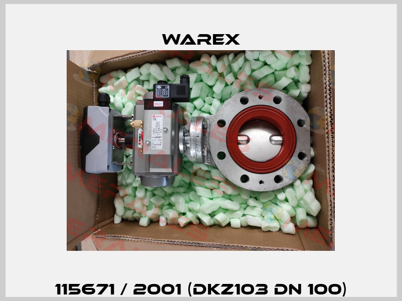 115671 / 2001 (DKZ103 DN 100) Warex