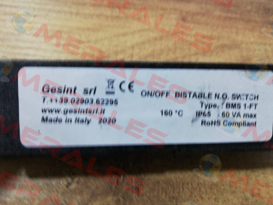 BMS1-FT Gesint