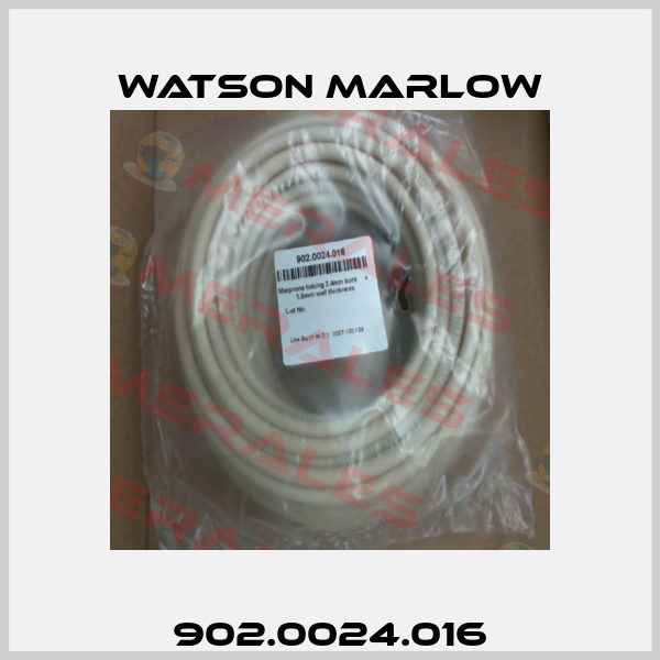 902.0024.016 Watson Marlow