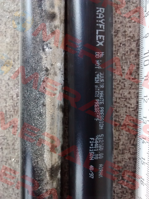 211600541  Rayflex