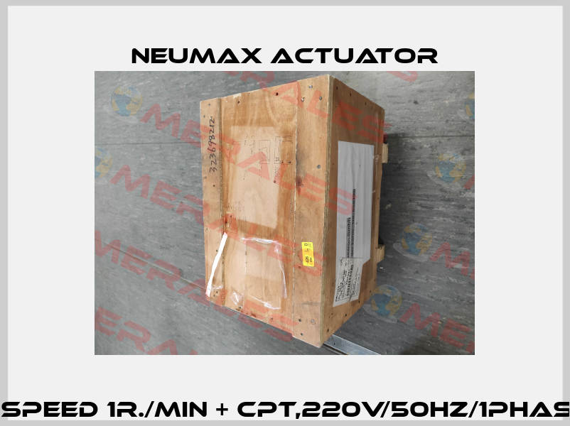 QT19 speed 1r./min + CPT,220V/50Hz/1Phase,1PC Neumax Actuator