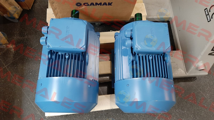 AGM3EL 132 M 2b Gamak