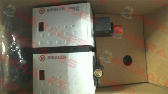 100323 / FU 917 Riegler