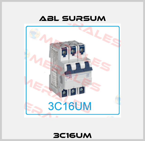 3C16UM Abl Sursum