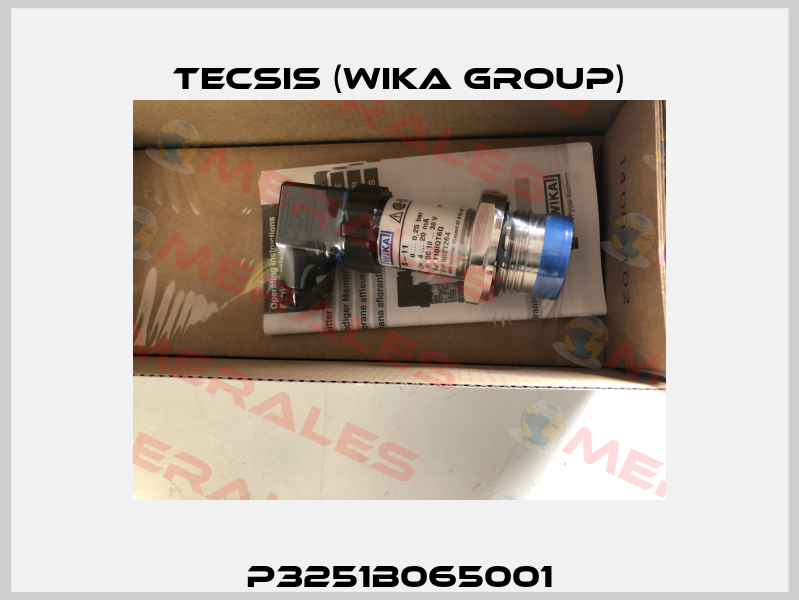 P3251B065001 Tecsis (WIKA Group)