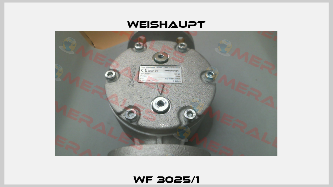 WF 3025/1 Weishaupt